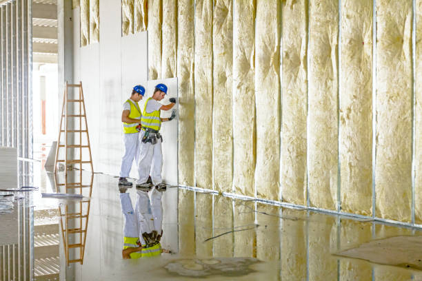 Best Types of Insulation in Los Alamos, CA